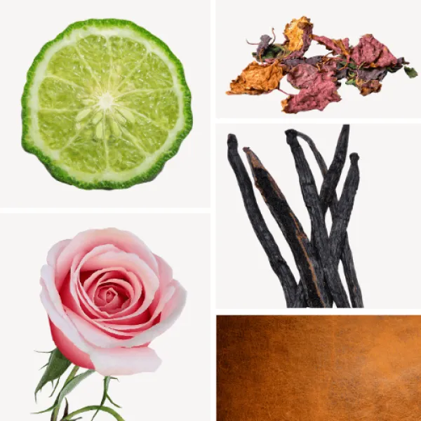 Duftnoten: Bergamotte, Patschuli, Rose, Vanille, Leder Duftnoten: Bergamotte, Patschuli, Rose, Vanille, Leder